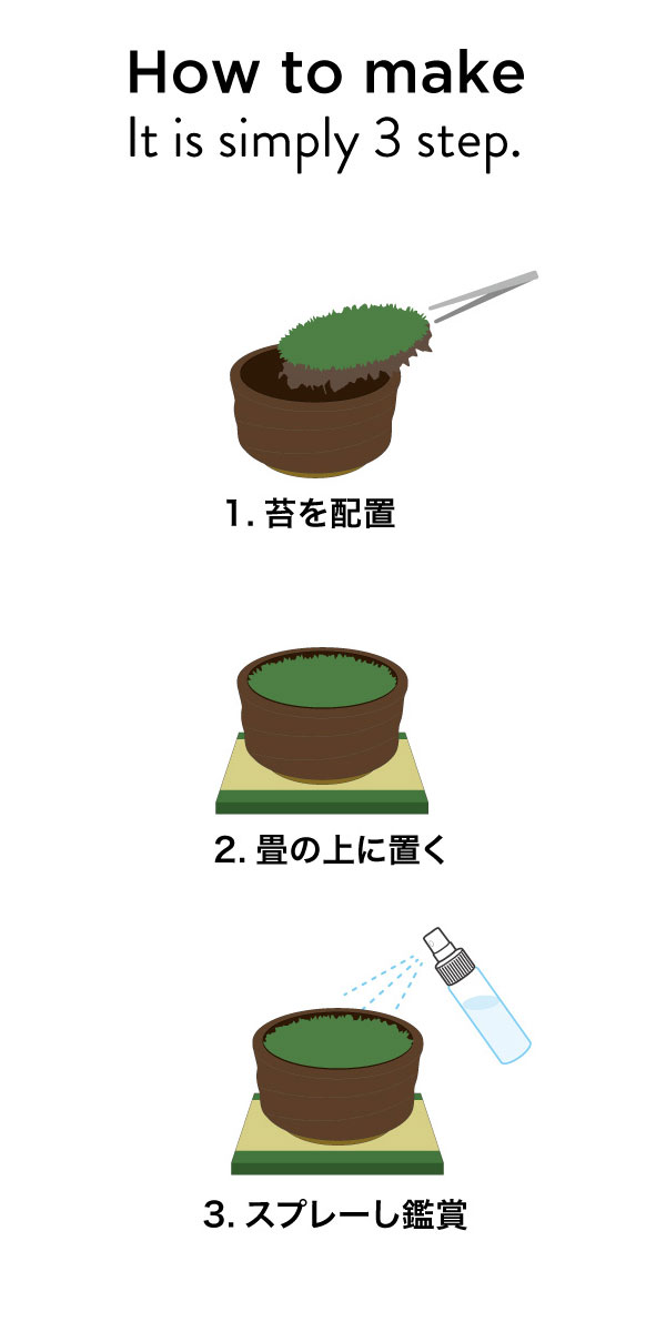 [ギフトに]栽培セット：抹茶碗苔盆栽（白）