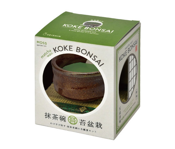 [ギフトに]栽培セット：抹茶碗苔盆栽（茶）