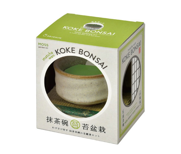 [ギフトに]栽培セット：抹茶碗苔盆栽（白）