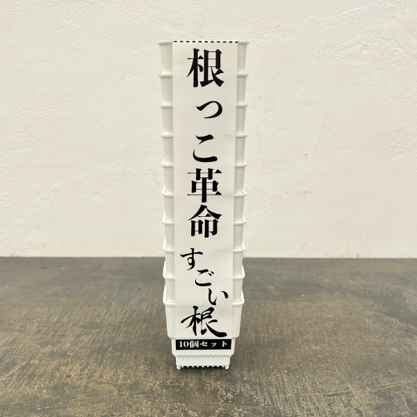 すごい根:メッシュ構造プラバチ スクエアショート(ホワイト) 2号 10個入り