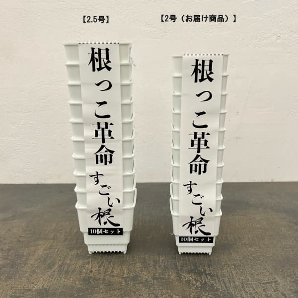 すごい根:メッシュ構造プラバチ スクエアショート(ホワイト) 2号 10個入り