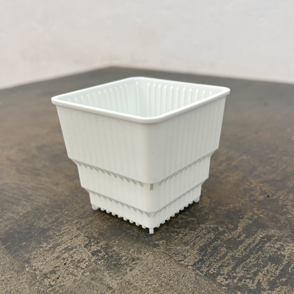 すごい根:メッシュ構造プラバチ スクエアショート(ホワイト) 2.5号 10個入り