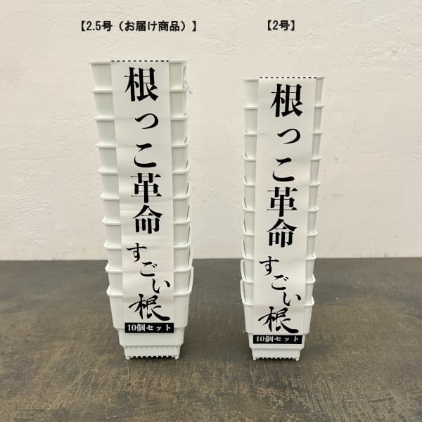 すごい根:メッシュ構造プラバチ スクエアショート(ホワイト) 2.5号 10個入り