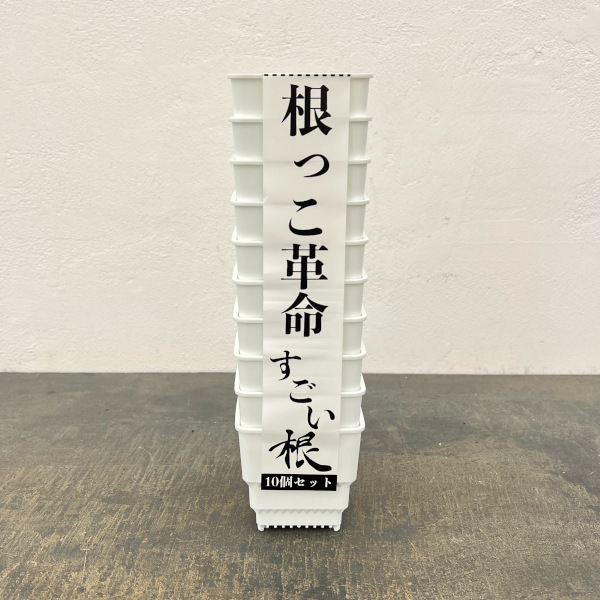 すごい根:メッシュ構造プラバチ スクエアショート(ホワイト) 2.5号 10個入り