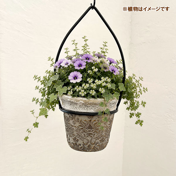 ボタニカルラウンドポット直径15cm×高さ13.5cm QB-08とフラワーハンギングしずくSZ-5のセット