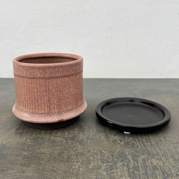 ミネルバ:紫S(直径約13cm)/黒マット受け皿付き