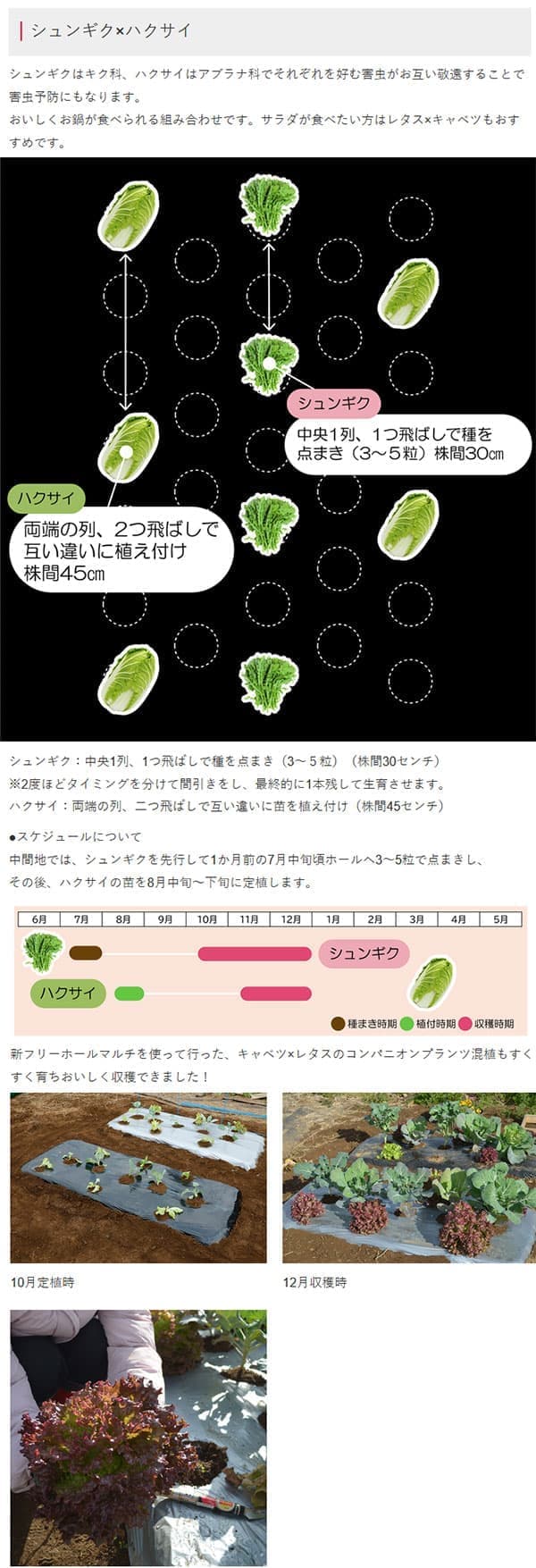 園芸ネット本店｜新フリーホール黒マルチ95cm×50m の通販【公式】
