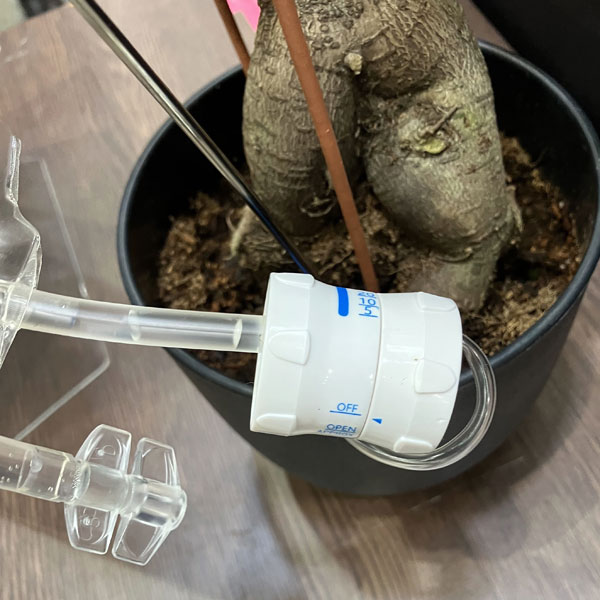 自動水やり点滴H2O 3点セット(点滴パック・ピック・ミニ漏斗)/全長49cm・容量約350ml/823411