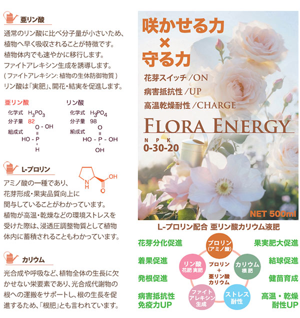 フローラエナジー500ml(700g)