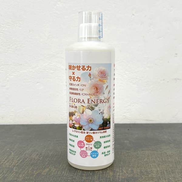 フローラエナジー500ml(700g)