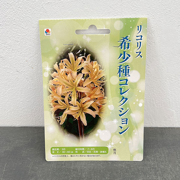 リコリス:秋月 1球入り