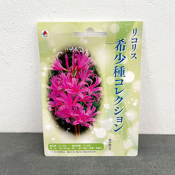 リコリス:山の根ロゼ 1球入り