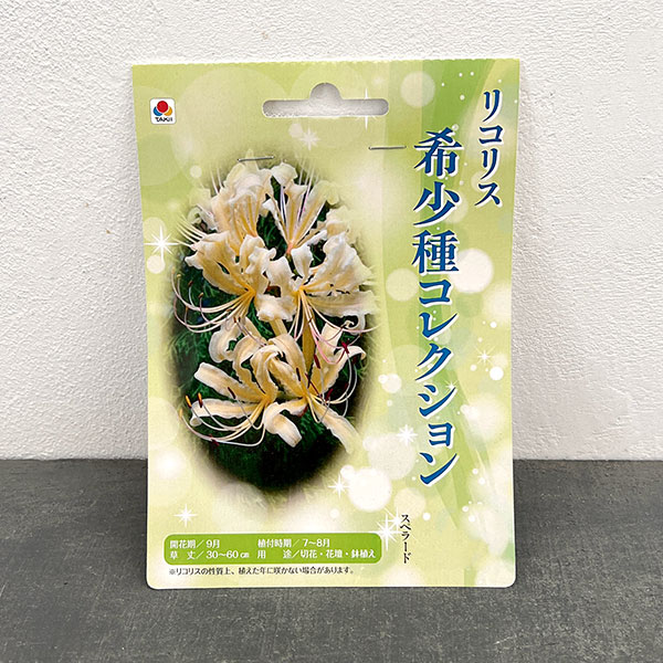 リコリス:スペラード 1球入り