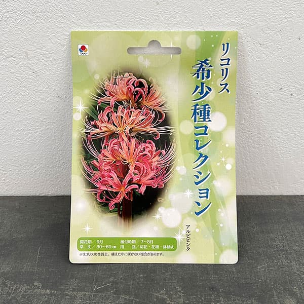 リコリス:アルビピンク 1球入り