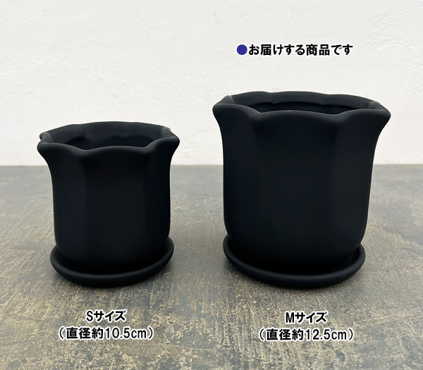 ルーアン:黒M(直径約12.5cm)・皿付き