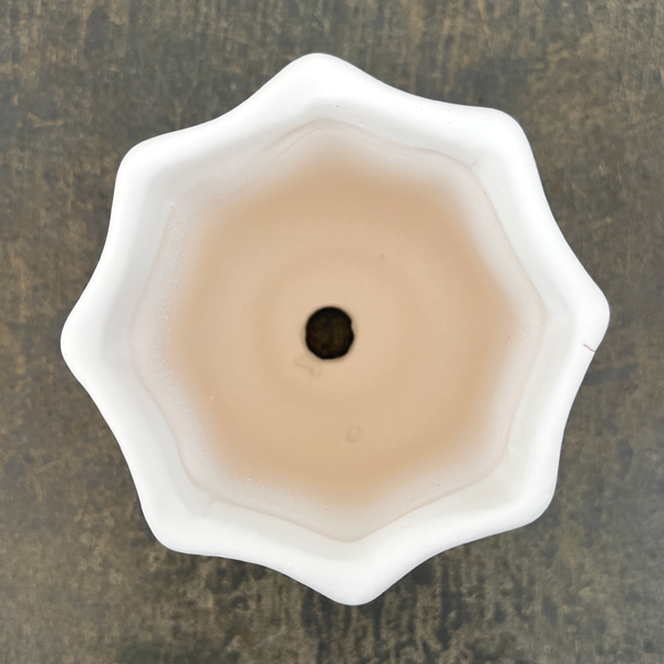 ルーアン:白S(直径約10.5cm)・皿付き