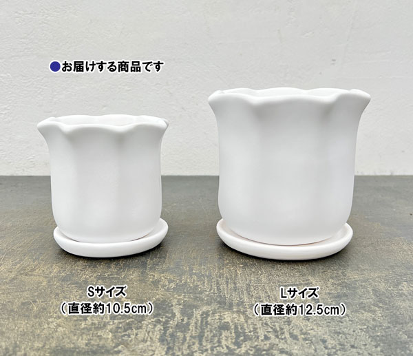 ルーアン:白S(直径約10.5cm)・皿付き