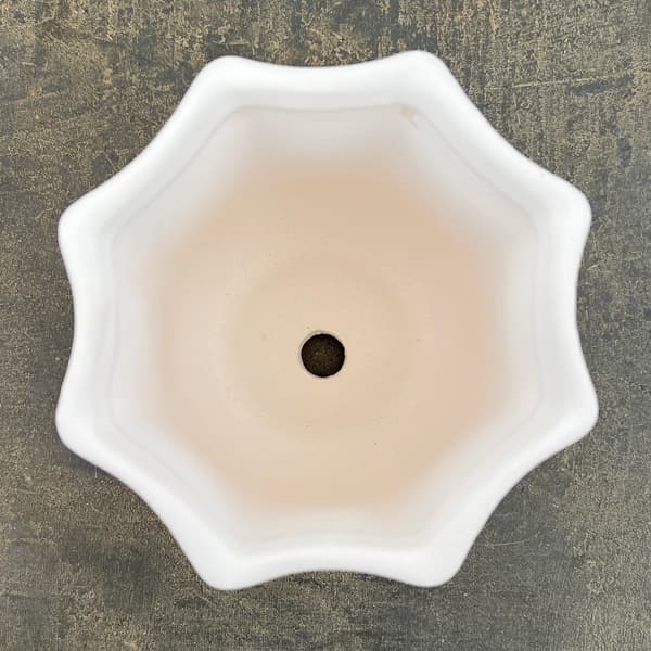 ルーアン:白M(直径約12.5cm)・皿付き