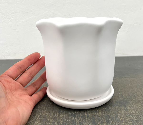 ルーアン:白M(直径約12.5cm)・皿付き