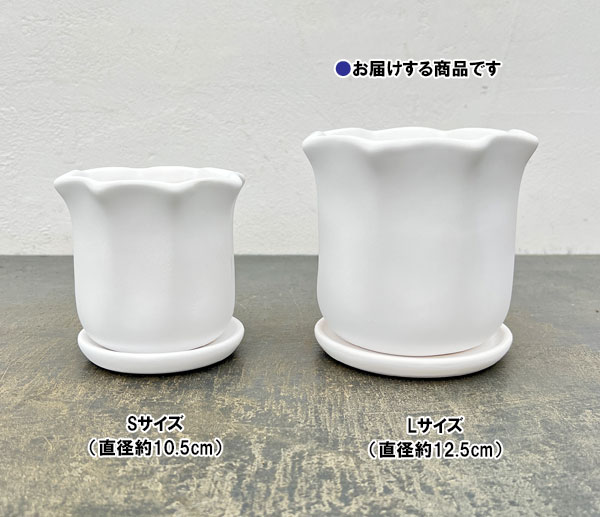 ルーアン:白M(直径約12.5cm)・皿付き