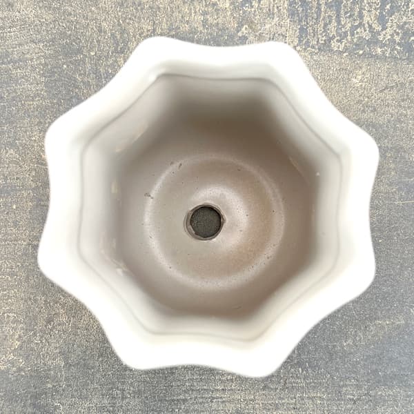 ルーアン:ベージュS(直径約10.5cm)・皿付き