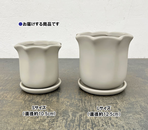 ルーアン:ベージュS(直径約10.5cm)・皿付き