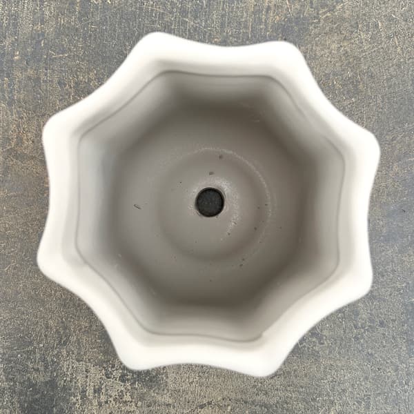 ルーアン:ベージュM(直径約12.5cm)・皿付き