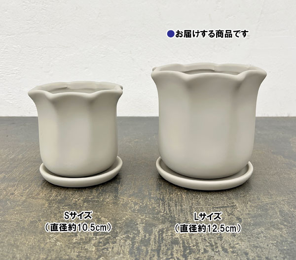 ルーアン:ベージュM(直径約12.5cm)・皿付き