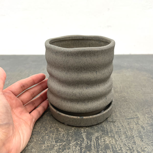 ピサロ:濃緑S(直径約11cm)・受け皿付