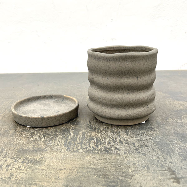 ピサロ:濃緑S(直径約11cm)・受け皿付