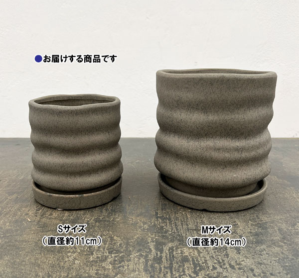 ピサロ:濃緑S(直径約11cm)・受け皿付