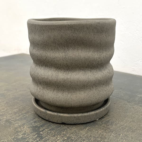 ピサロ:濃緑M(直径約14cm)・受け皿付