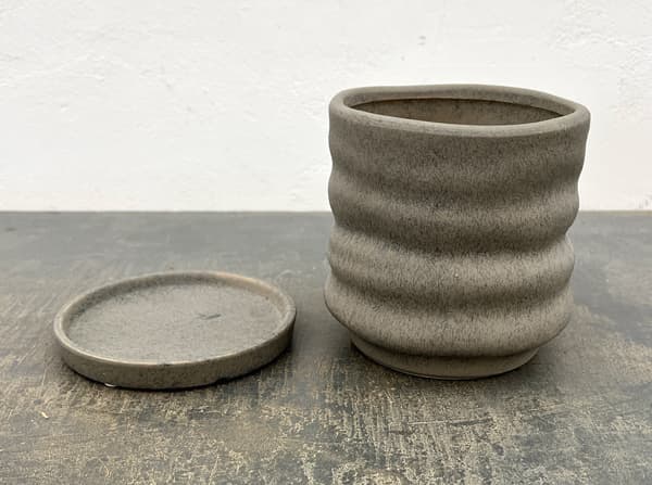 ピサロ:濃緑M(直径約14cm)・受け皿付