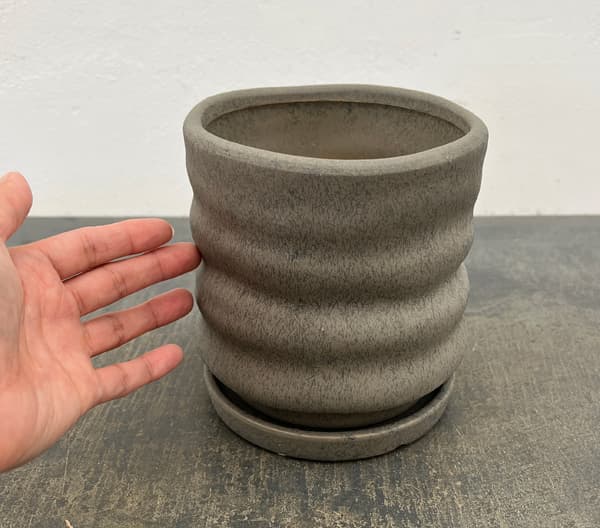 ピサロ:濃緑M(直径約14cm)・受け皿付