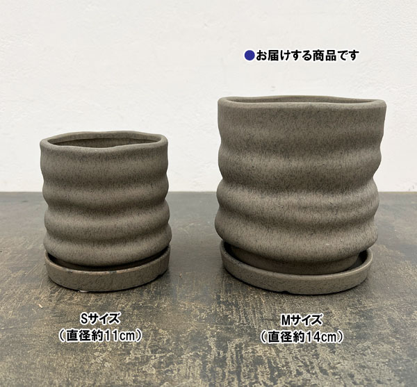 ピサロ:濃緑M(直径約14cm)・受け皿付
