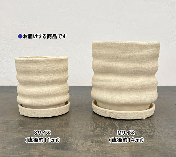 ピサロ:白マットS(直径約11cm)・受け皿付
