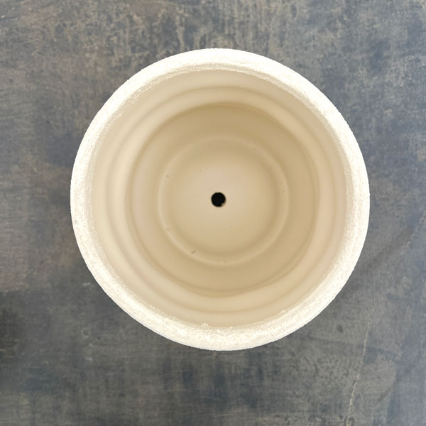 ピサロ:白マットM(直径約14cm)・受け皿付
