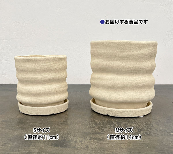 ピサロ:白マットM(直径約14cm)・受け皿付