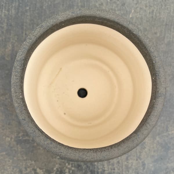 アゴラ:濃緑S(直径約11.5cm)・受け皿付