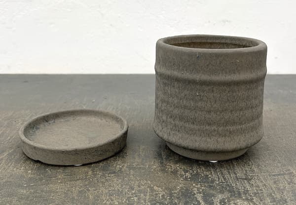 アゴラ:濃緑S(直径約11.5cm)・受け皿付