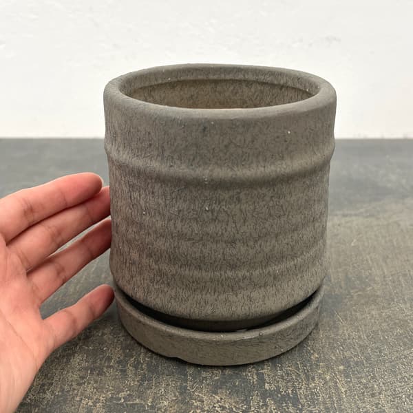 アゴラ:濃緑S(直径約11.5cm)・受け皿付