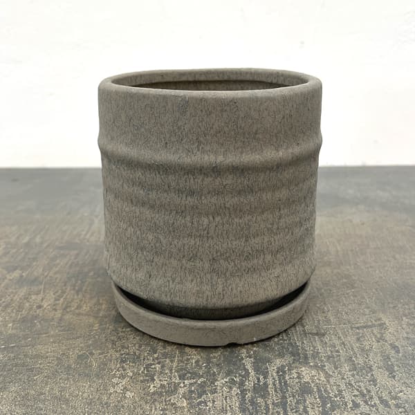 アゴラ:濃緑M(直径約14.5cm)・受け皿付