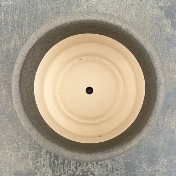 アゴラ:濃緑M(直径約14.5cm)・受け皿付