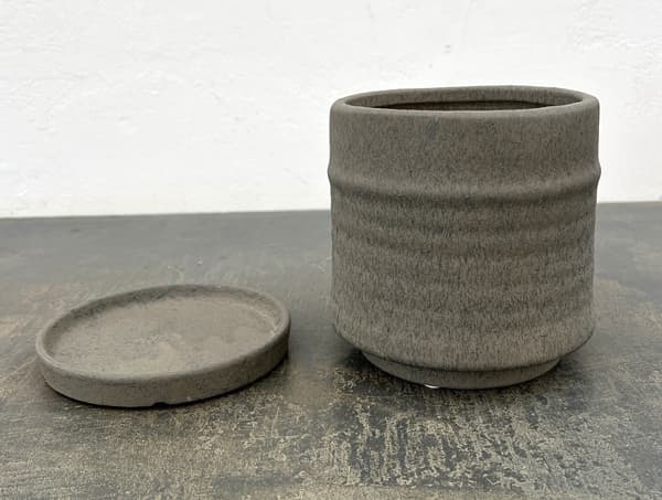 アゴラ:濃緑M(直径約14.5cm)・受け皿付