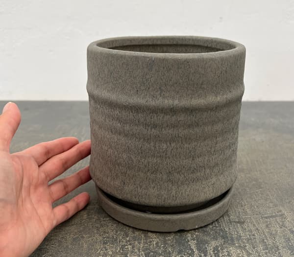 アゴラ:濃緑M(直径約14.5cm)・受け皿付