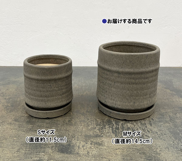 アゴラ:濃緑M(直径約14.5cm)・受け皿付