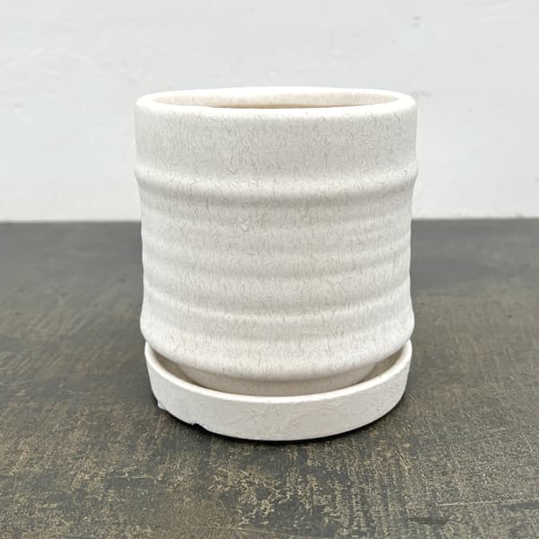 アゴラ:白S(直径約11.5cm)・受け皿付