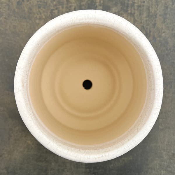 アゴラ:白S(直径約11.5cm)・受け皿付