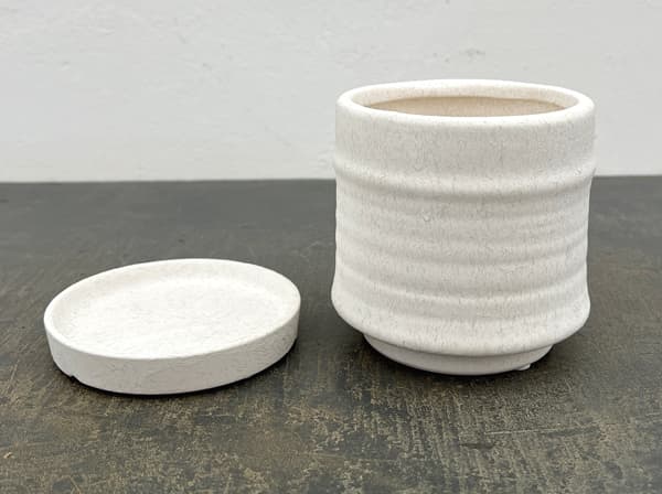 アゴラ:白S(直径約11.5cm)・受け皿付