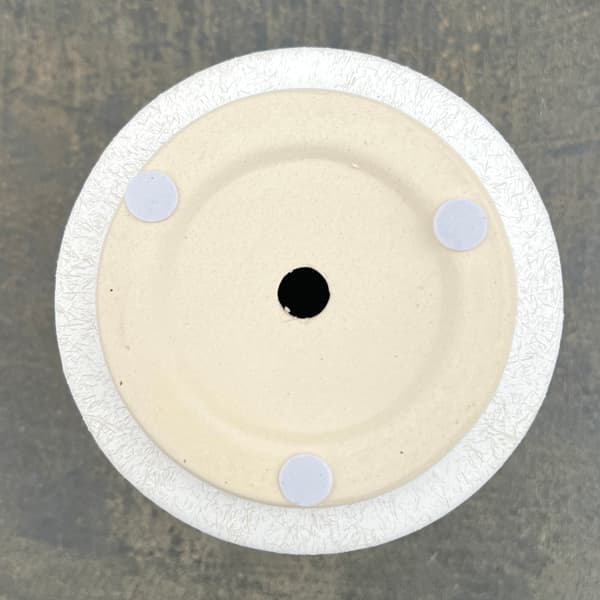 アゴラ:白S(直径約11.5cm)・受け皿付